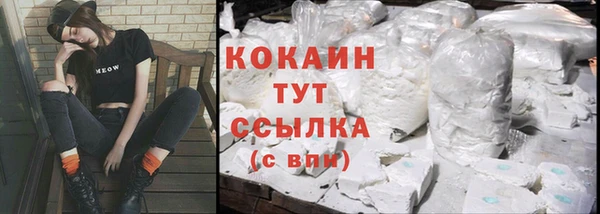 молекула духа Михайлов